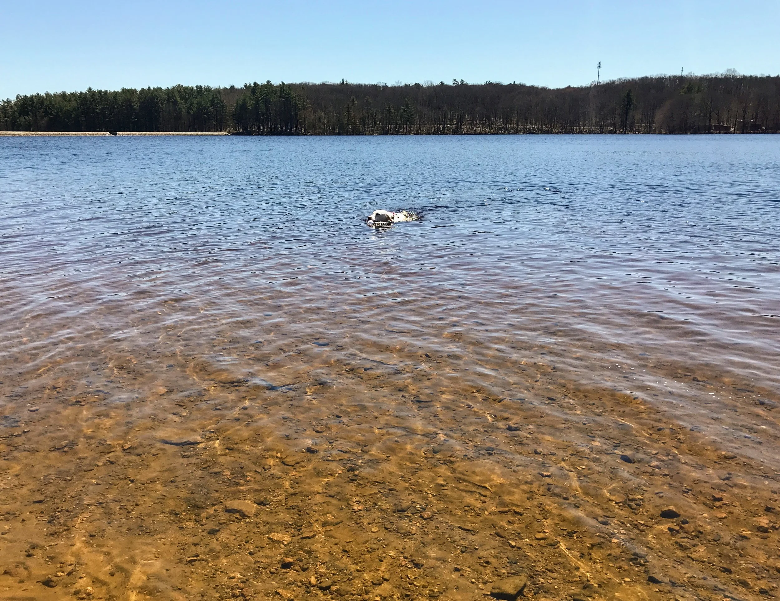 Looking Back and Feeling Good For Once