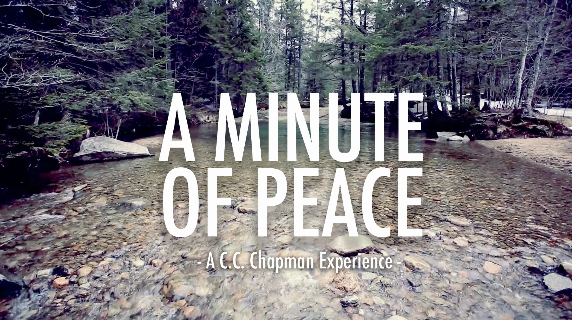 A Minute of Peace