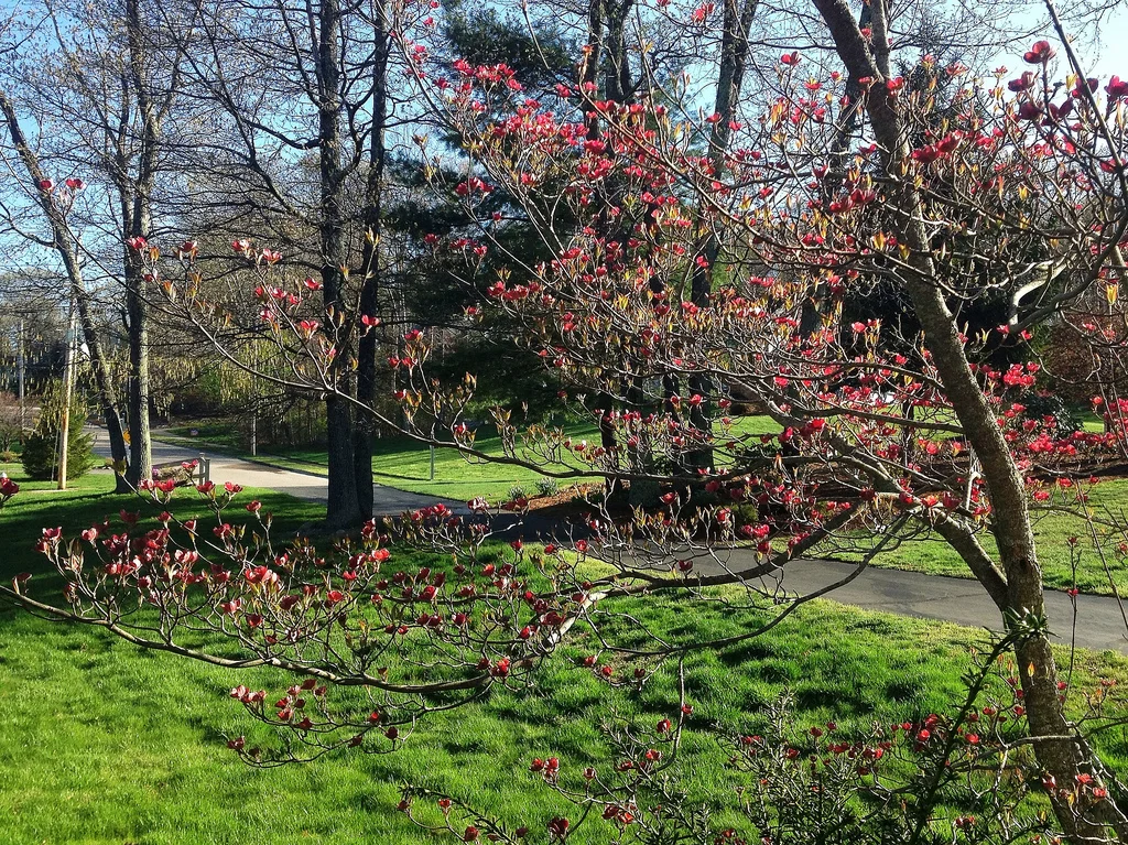 Social Media Spring Cleaning