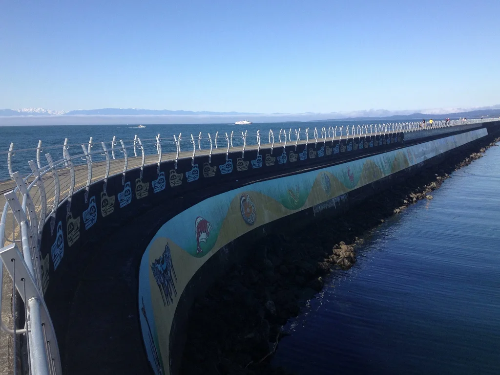 Wandering and Wondering