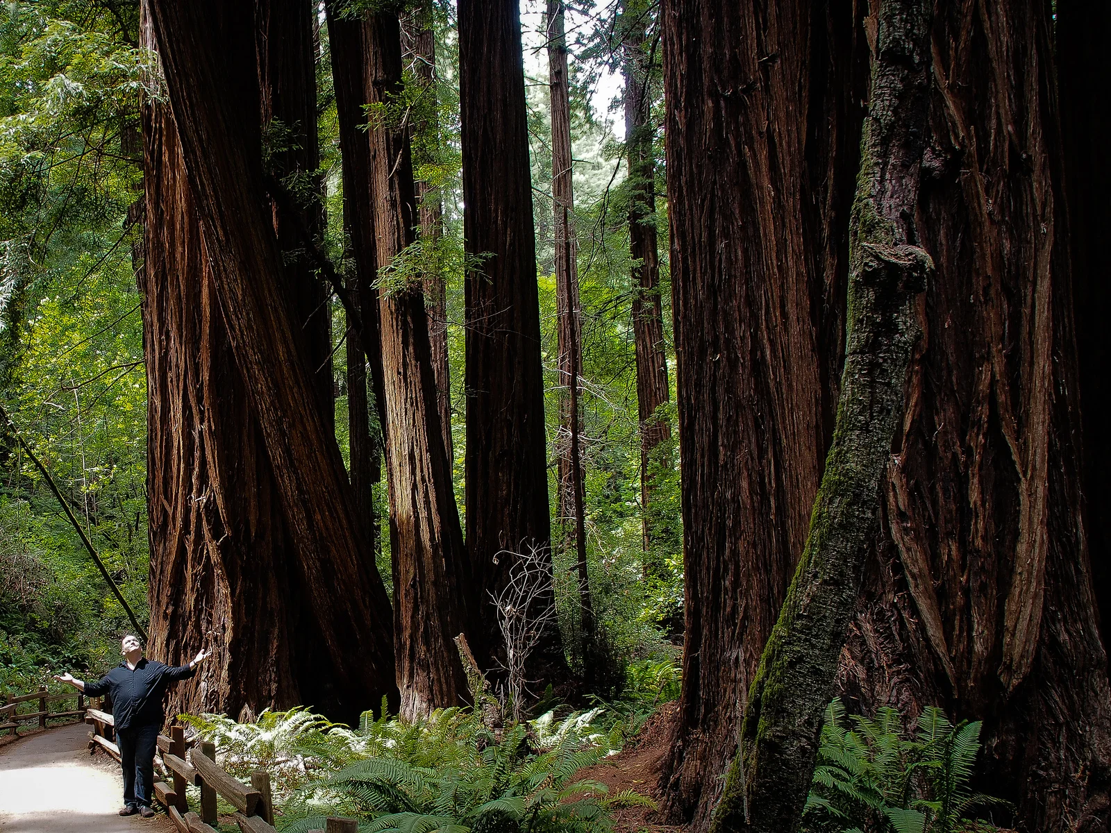 Standing Among Giants