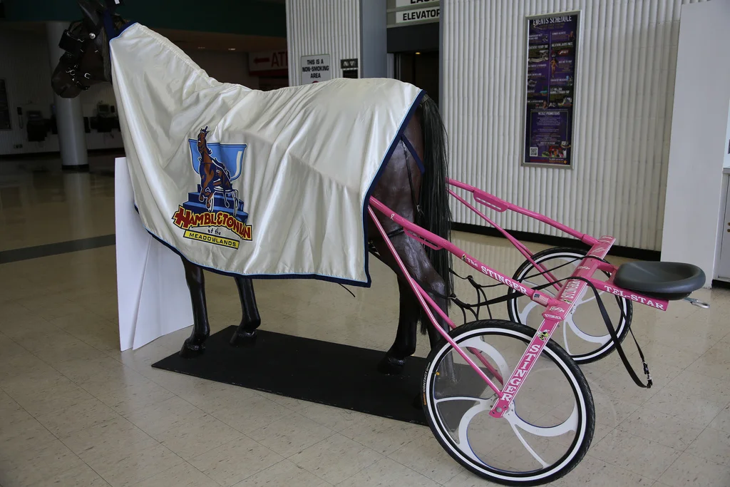 My First Taste of Harness Racing