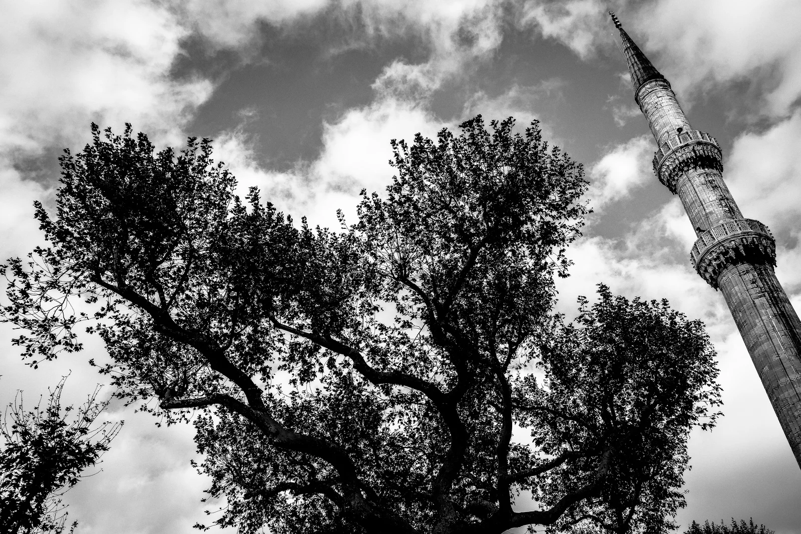 Istanbul in Black and White