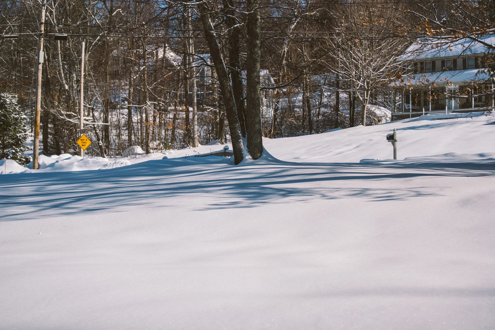 The Art of Saying Hello