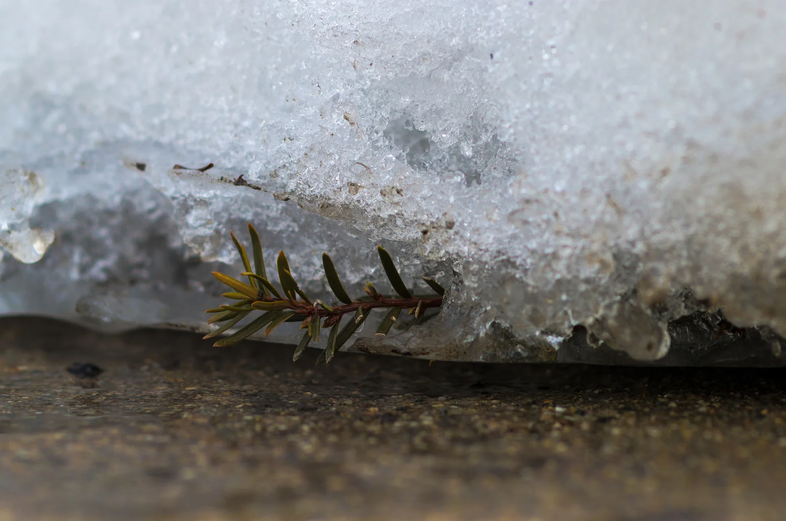 Eager to Get Out and Get Going