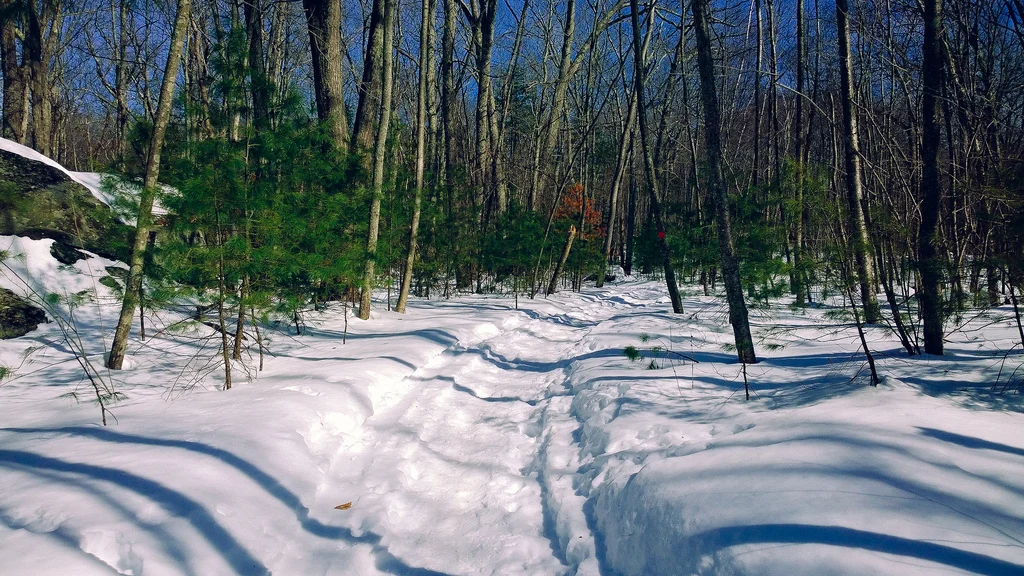 My Path Once Again Goes In A New Direction