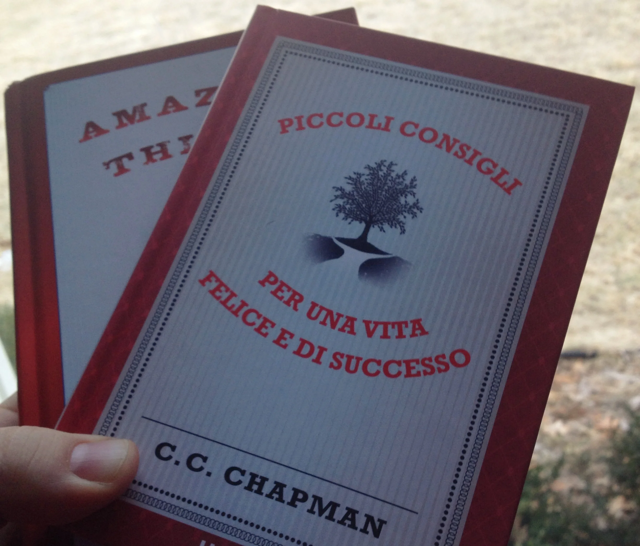 Piccoli Consigli - Per Una Vita Felice E Di Successo