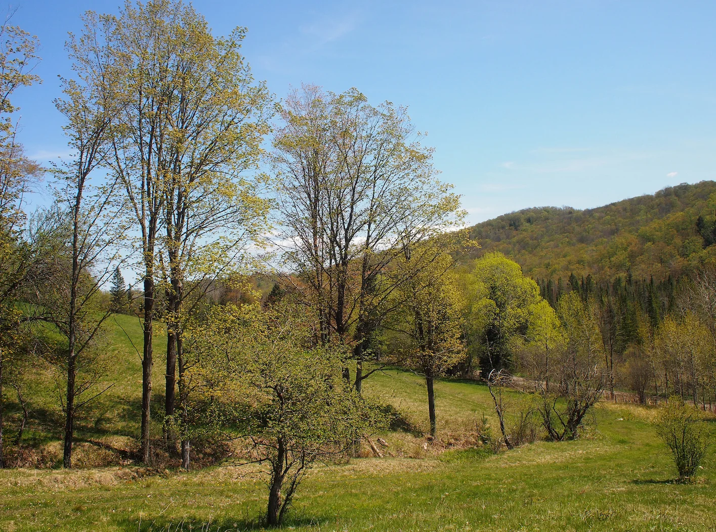 Escaping to Echo Valley