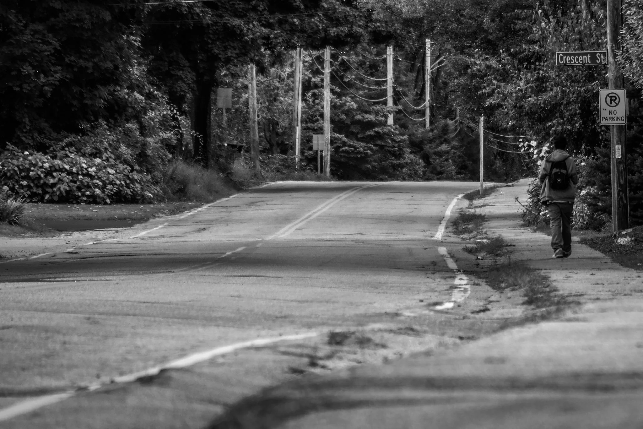 The World Needs More Tolerance