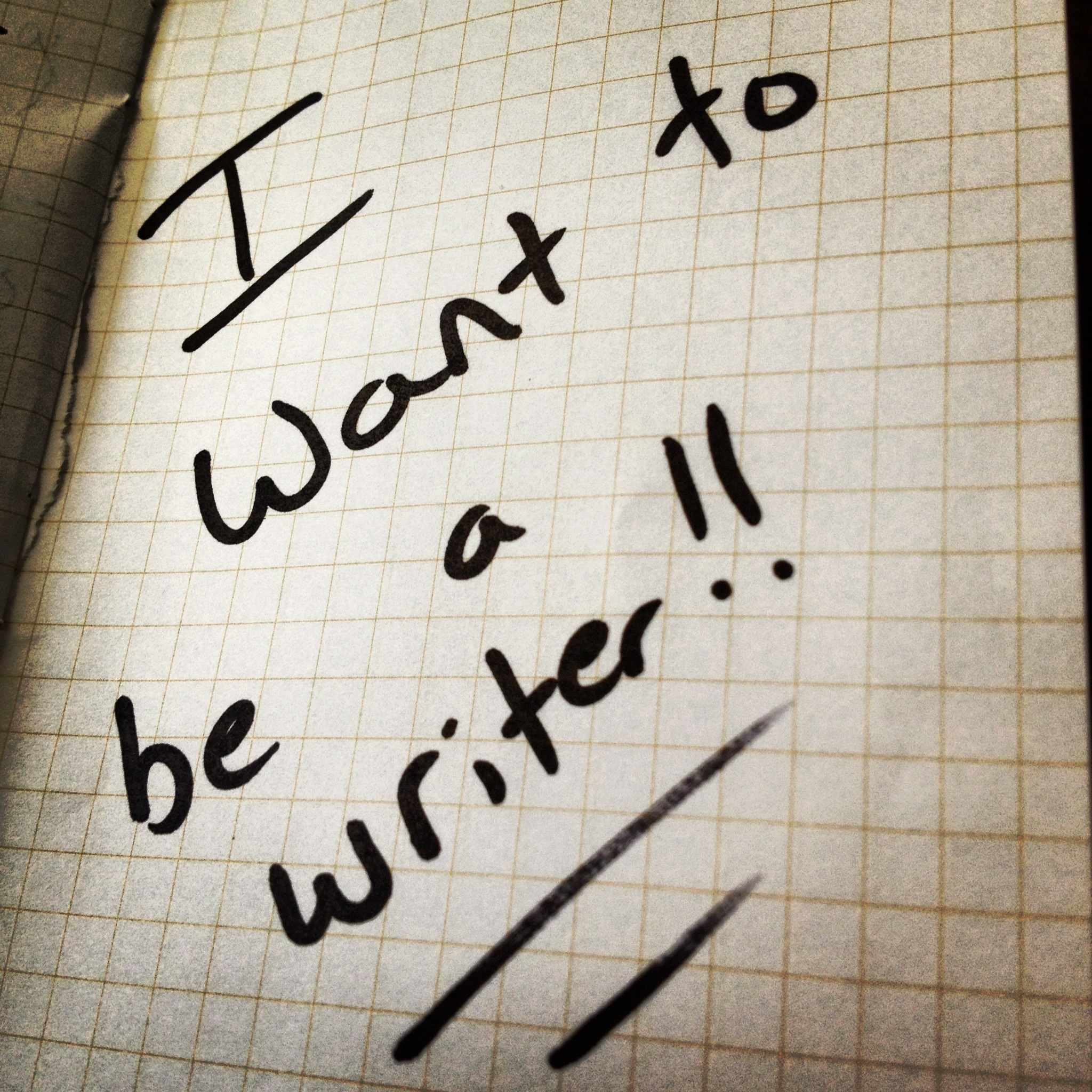 beawriter.jpg