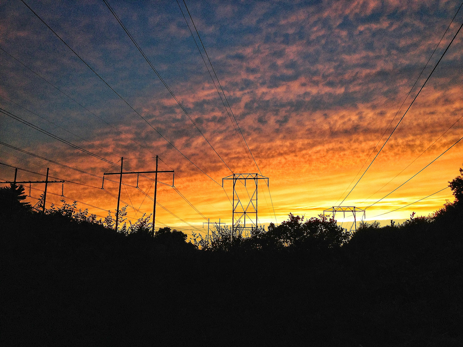 sunsettingonpowerlines.jpeg