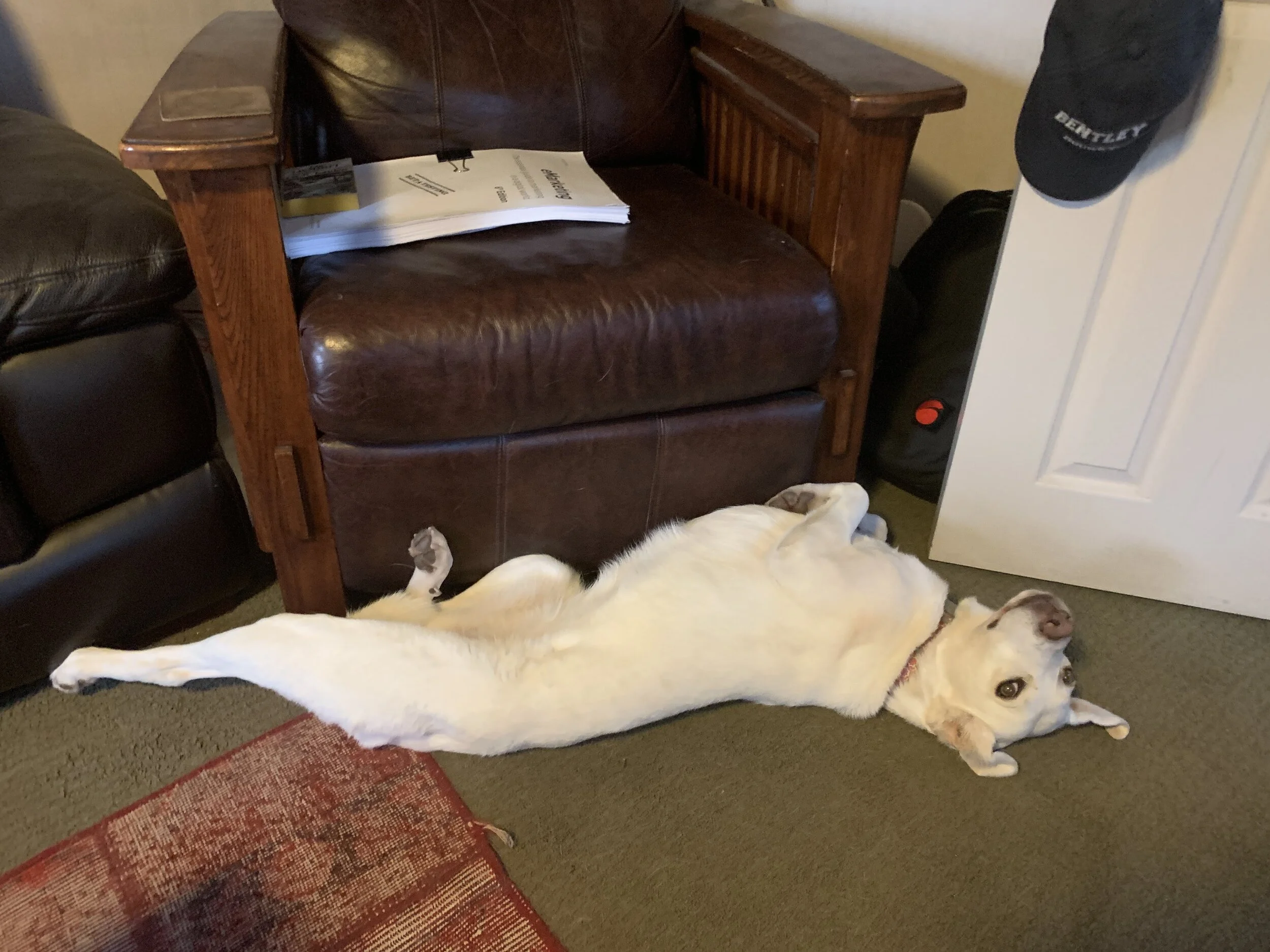 No COVID-19 Hustle For Me