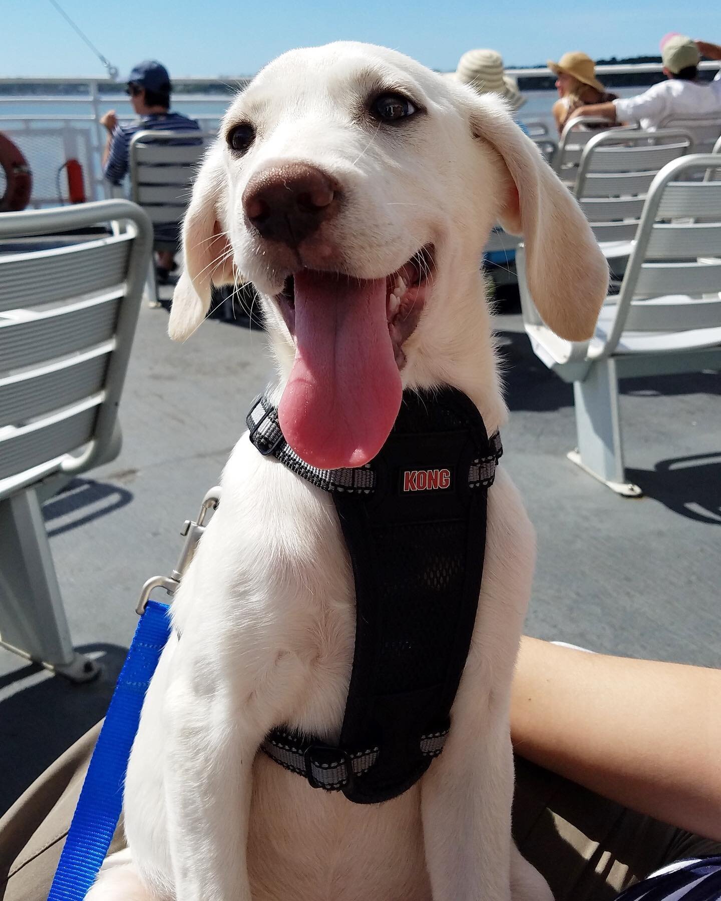 Happy sixth birthday, Jaz.