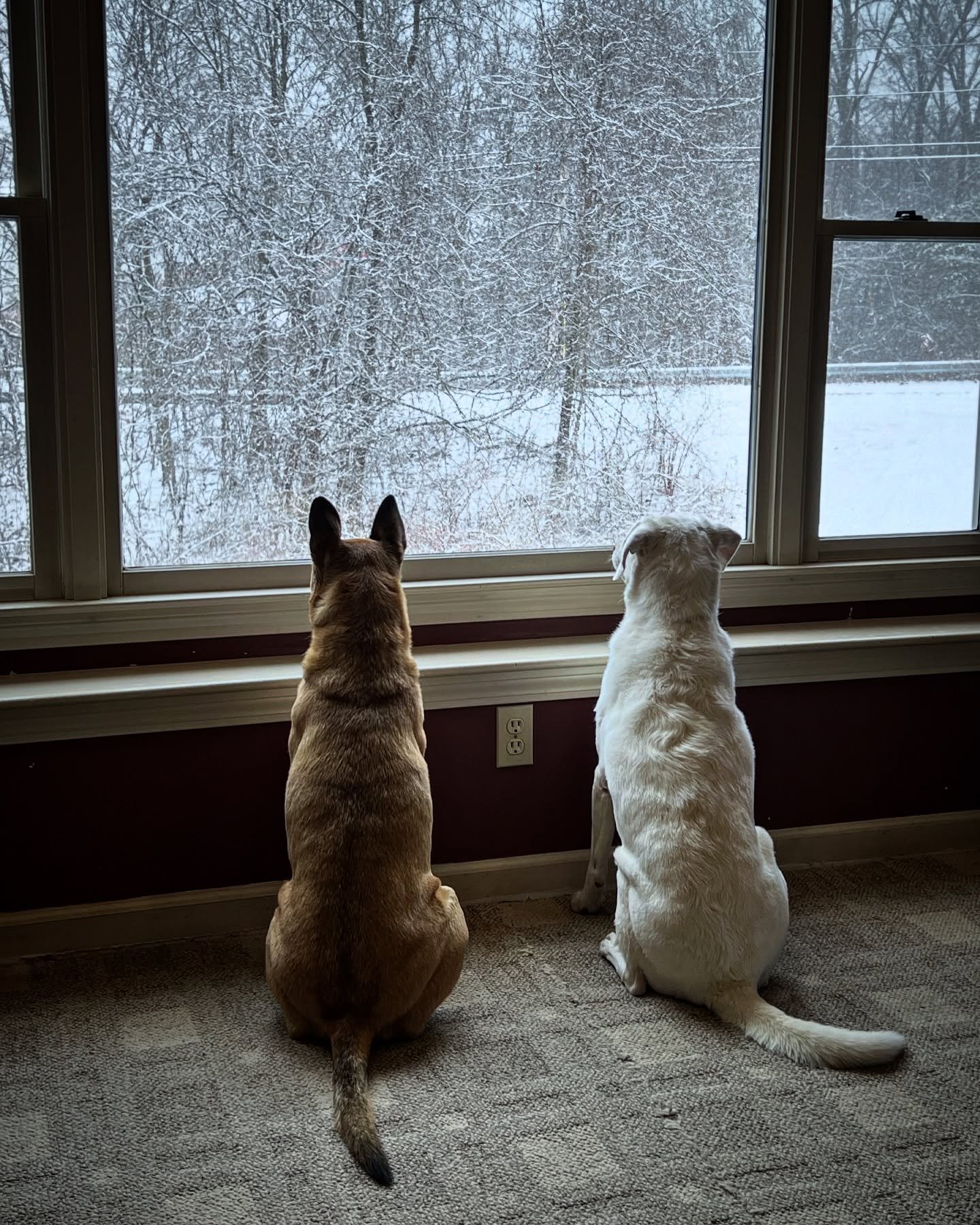 Saturday Morning Snowglobe Supervisors