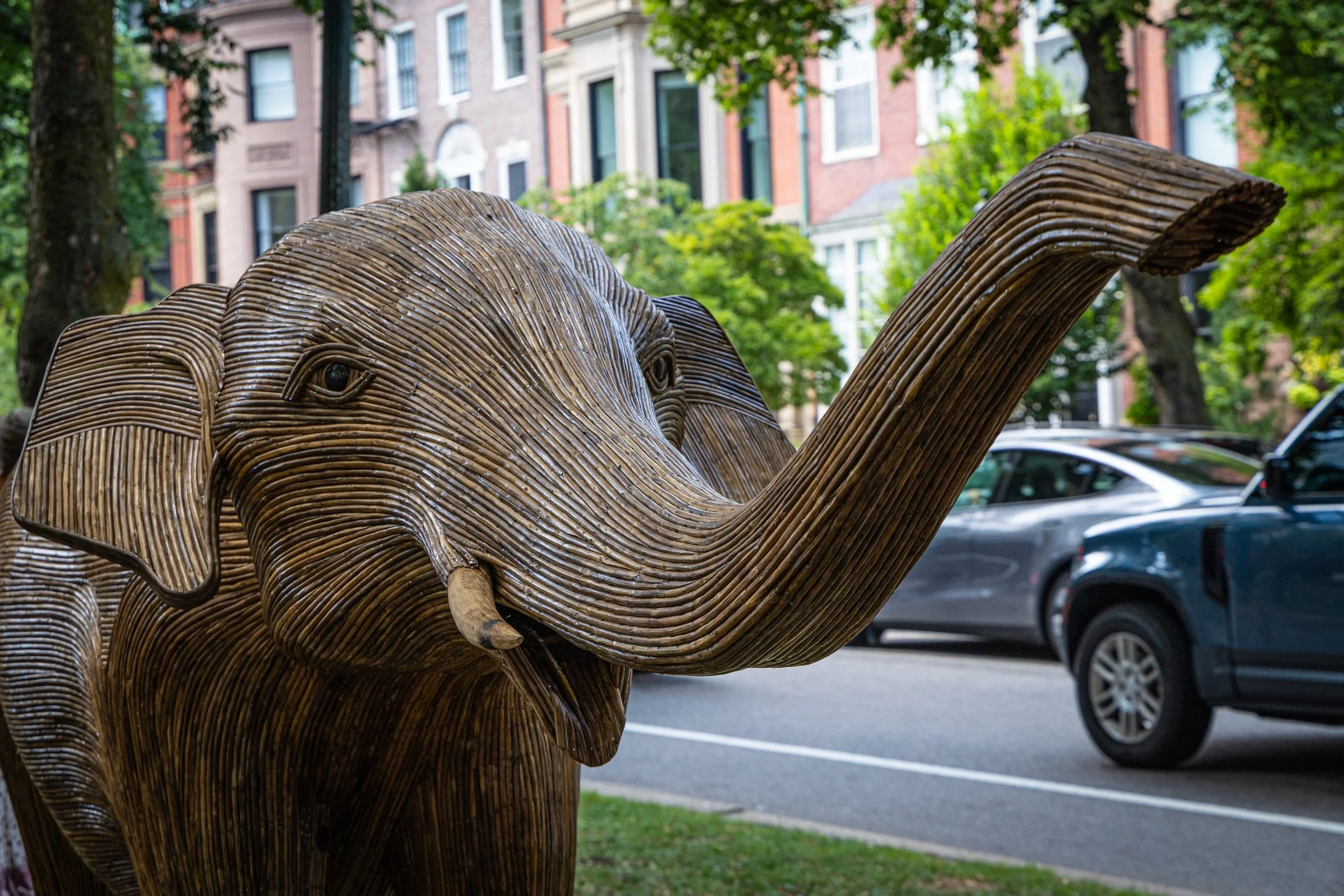The @greatelephantmigration is now in Boston and I highly encourage you make the time to go and visit. This public art installation is one you don&rsquo;t want to miss.