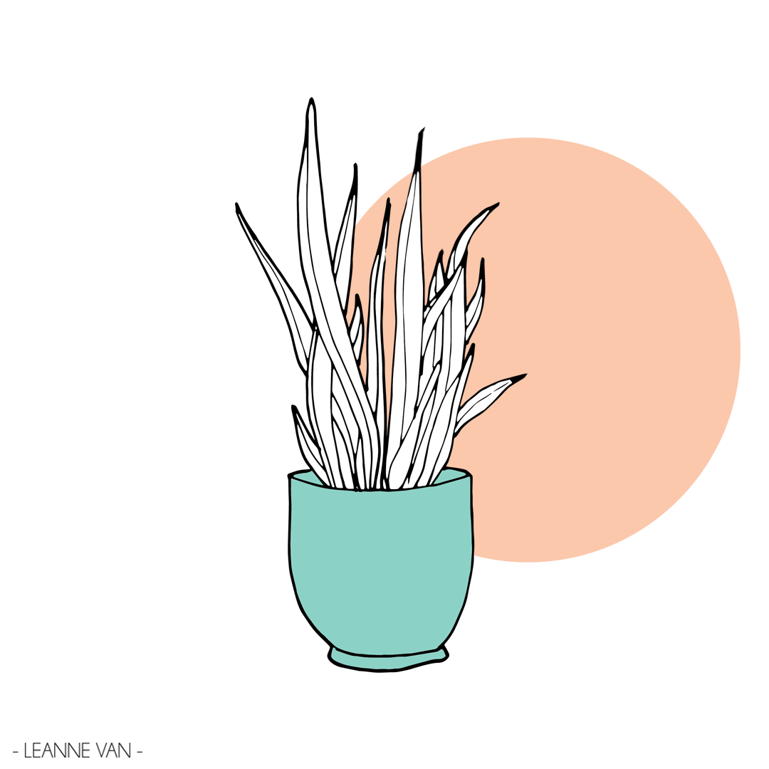 Plants-Motion.gif