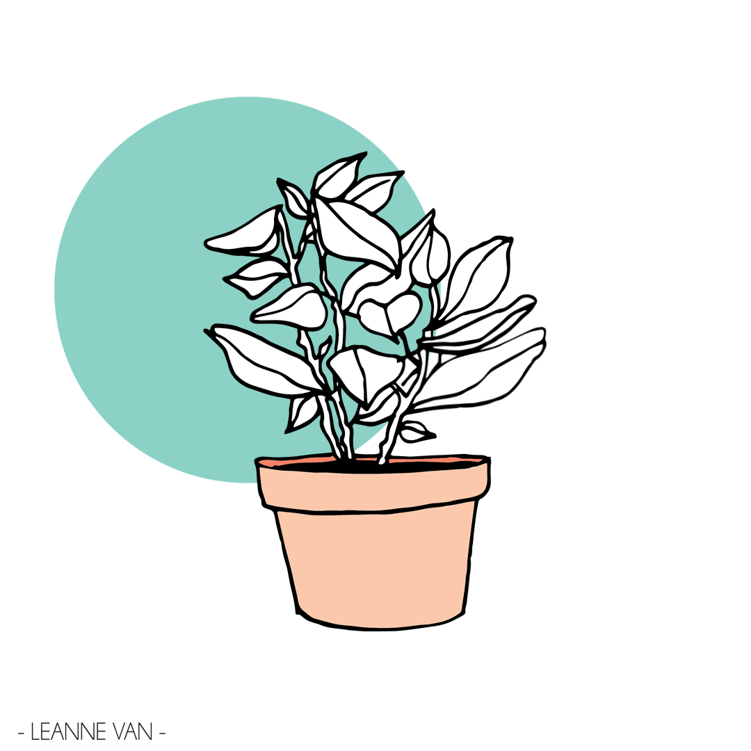 Plants-Motion-2.gif
