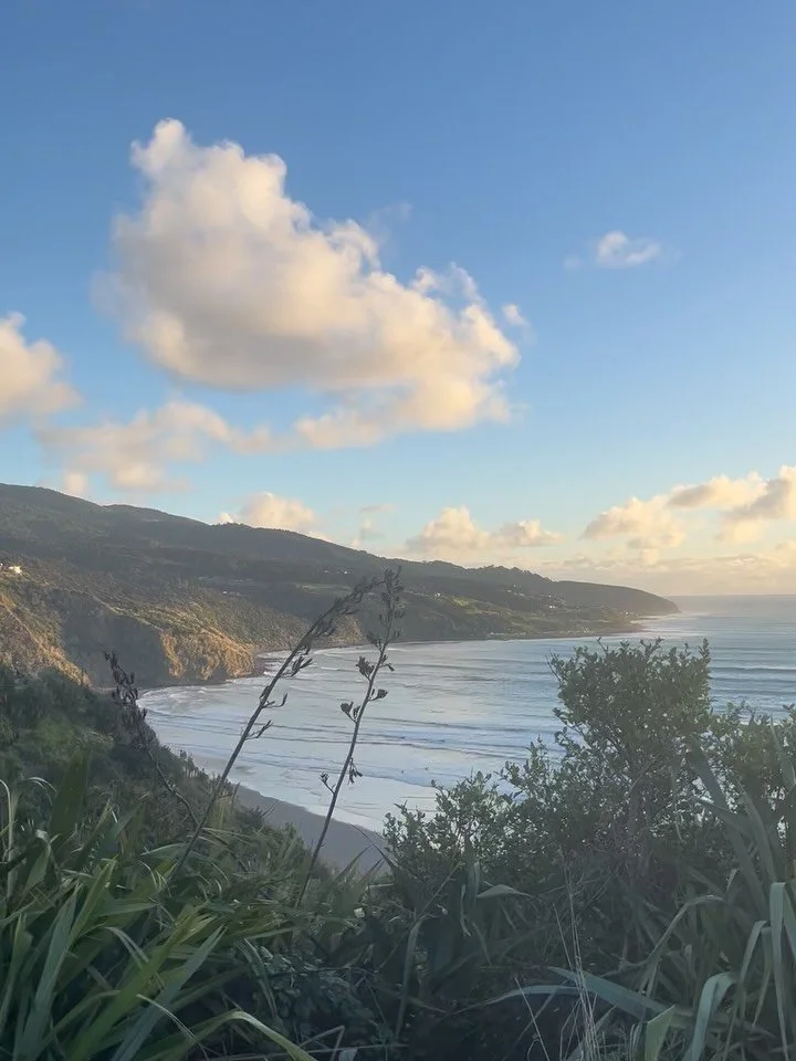 Some pretty things before the South Island.. luckily got to spend a lot of time with friends &lt;3