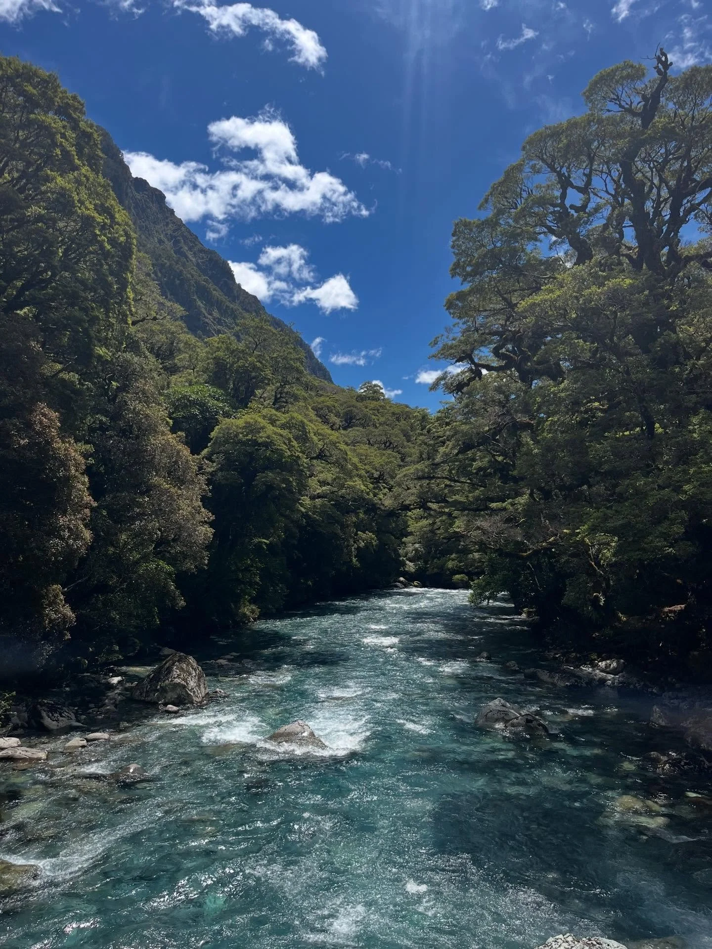 Mostly nature and off the grid. Best times 🌞 Featuring Routeburn, Lake Marian and Milford Sound
