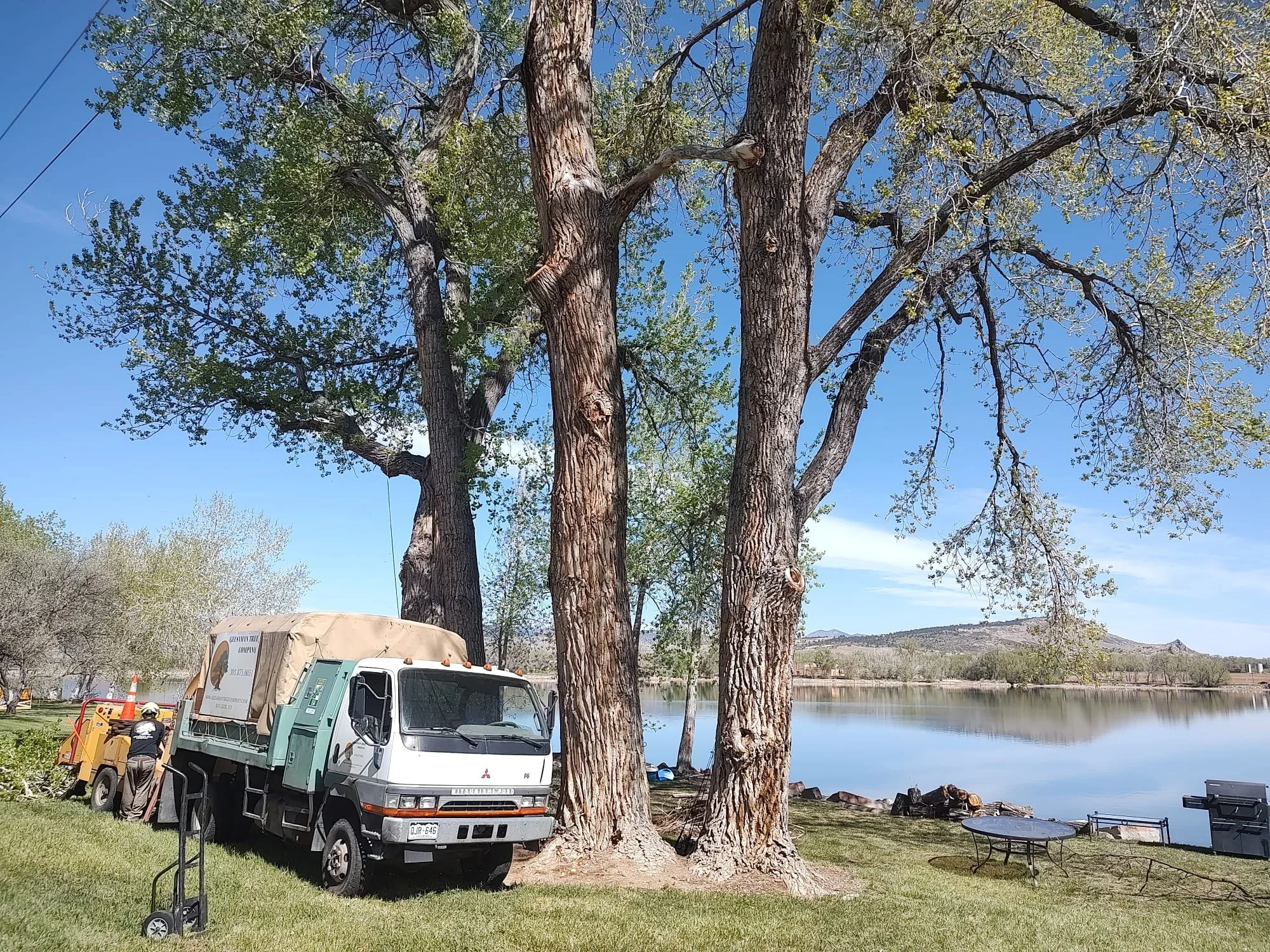 About Us — Geesaman Tree Company | Tree service, tree removal, tree ...