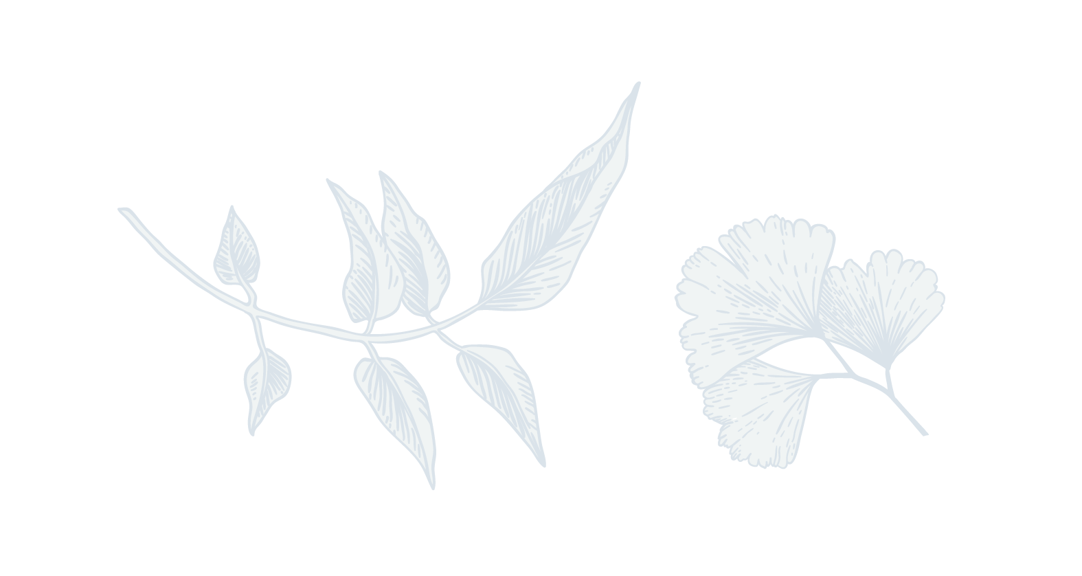 leaves lighter-02.png