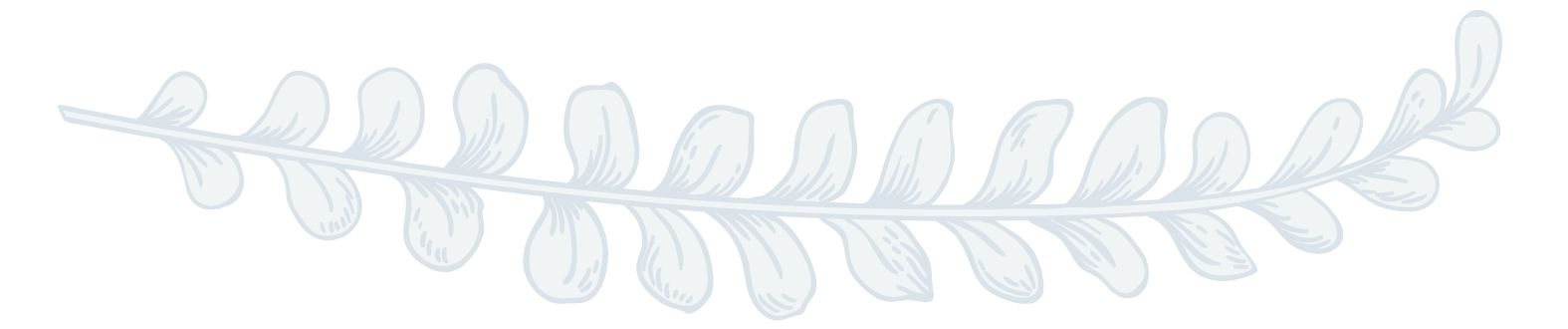 leaf divider-02.png