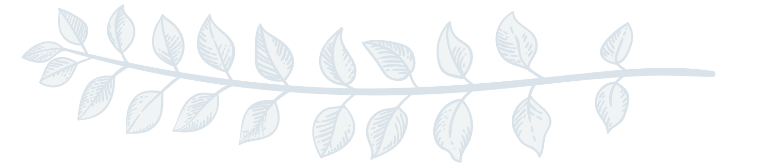 leaf divider 2-02.png
