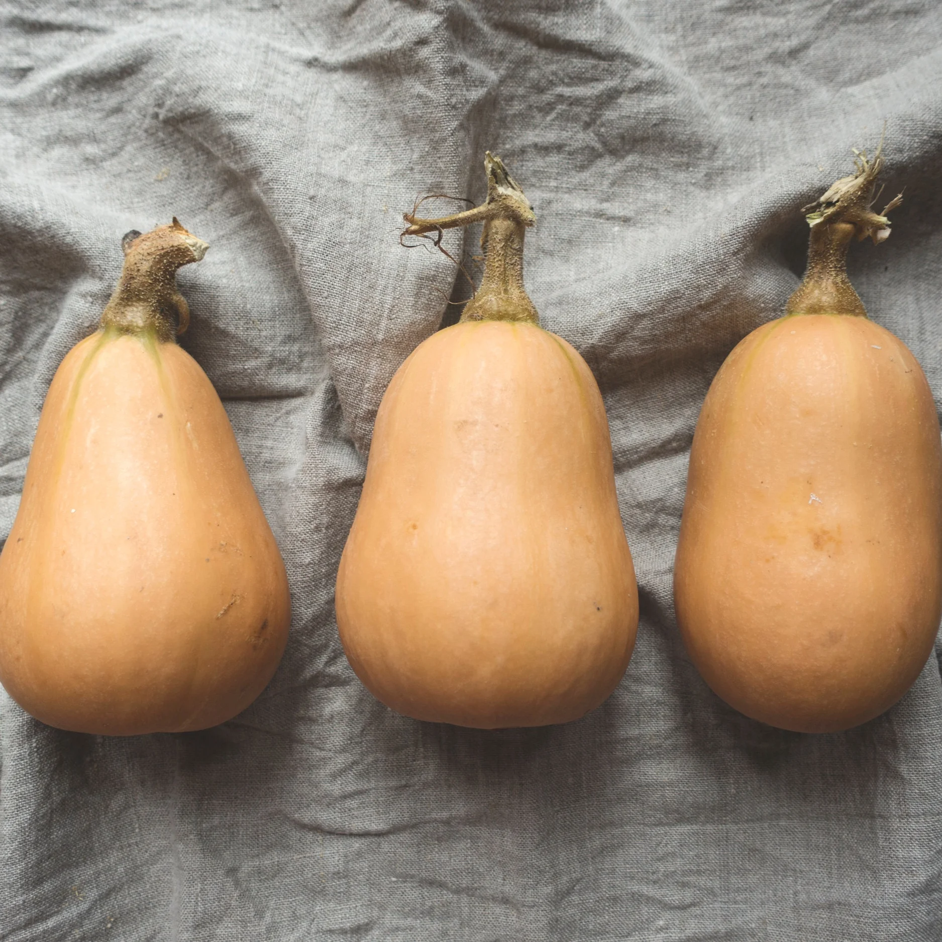 Roasted Squash Soup with Minted Goat Cheese