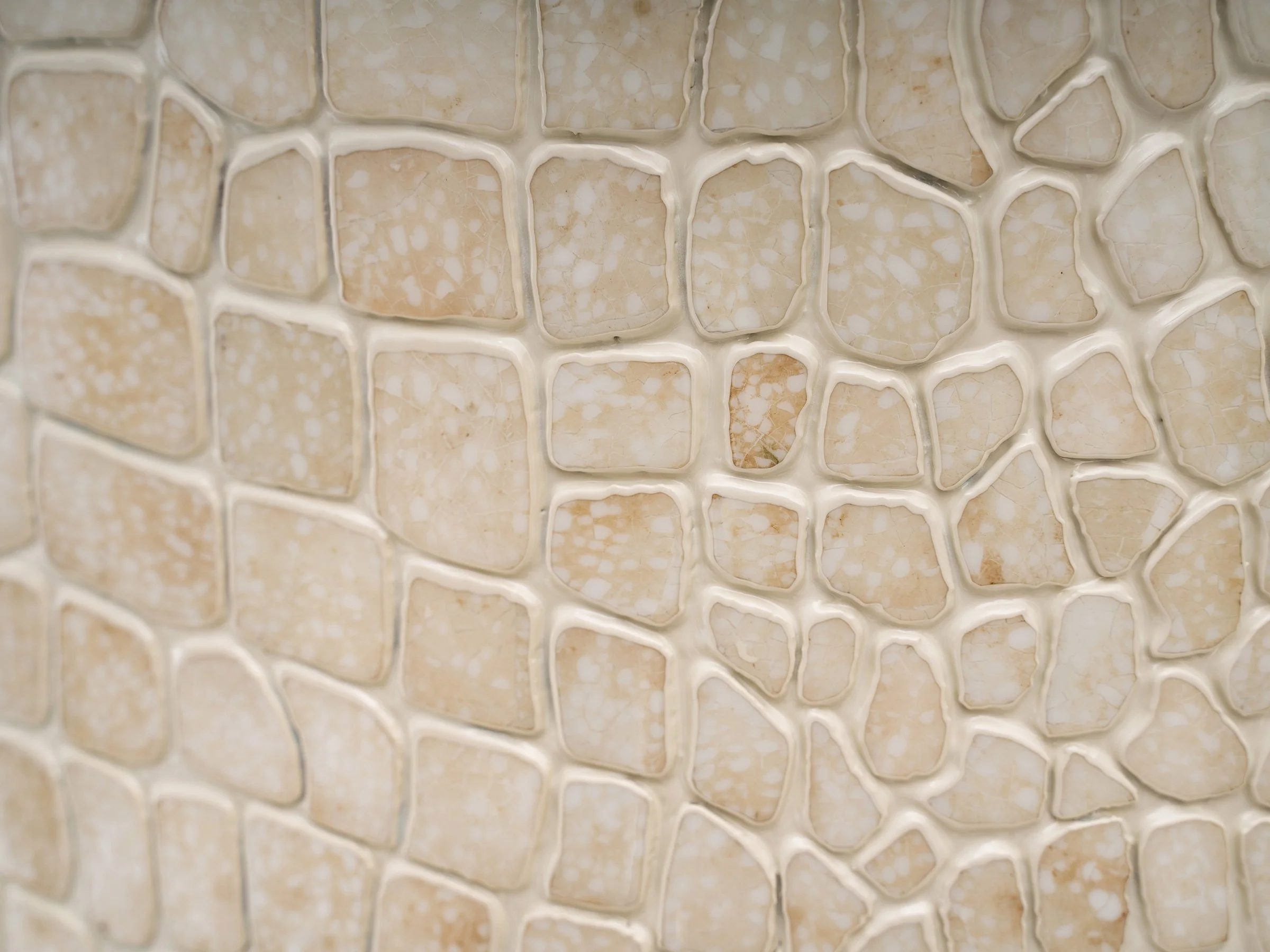 CROCODILE BETTY detail 2.jpg