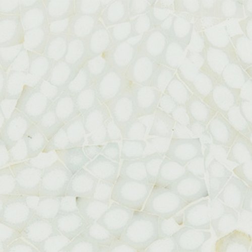 WHITE SNAKESKIN EGGSHELL LACQUER