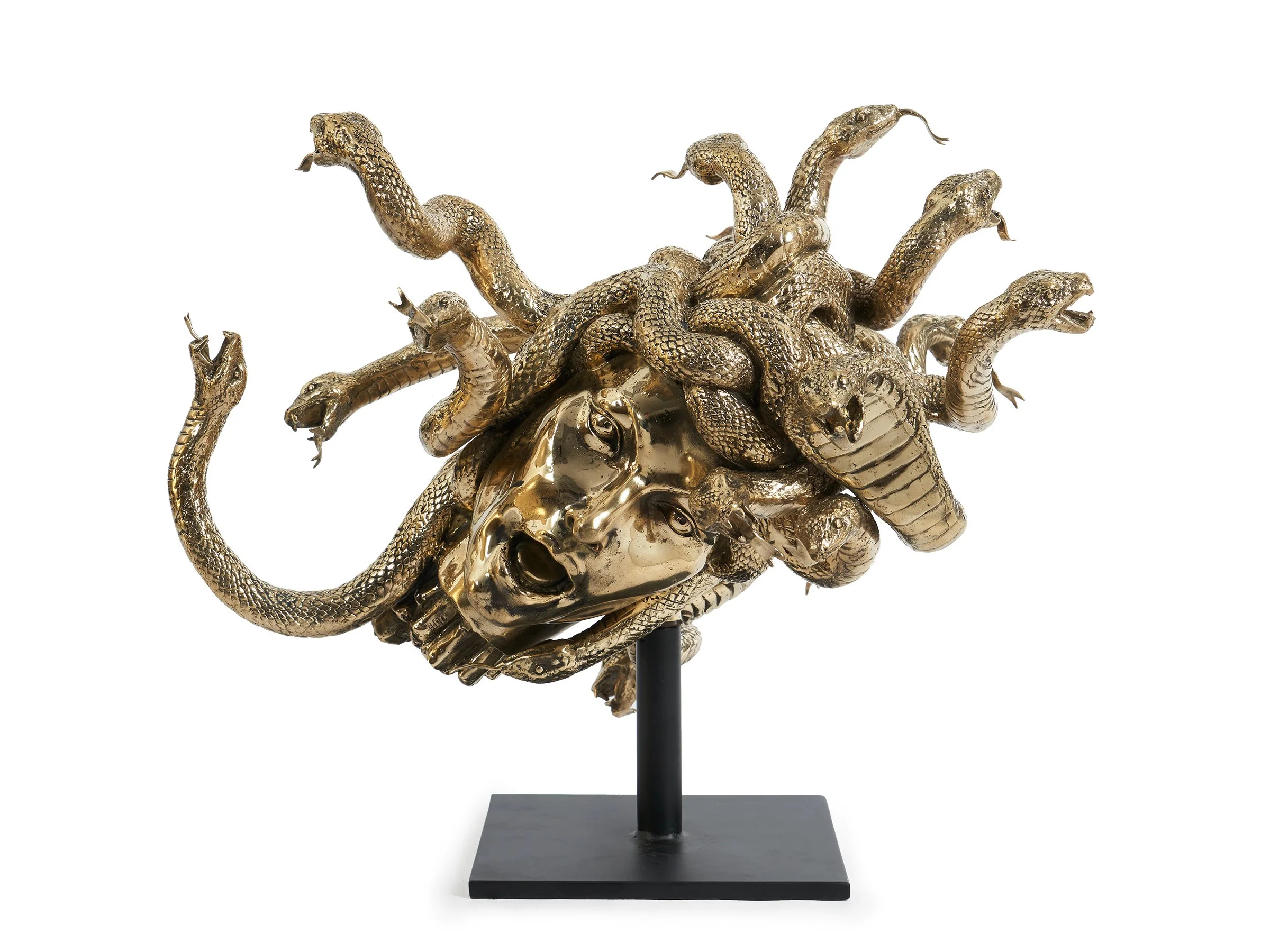 Medusa Sculpture front view, polished bronze snakes coiling around a distressed face.
