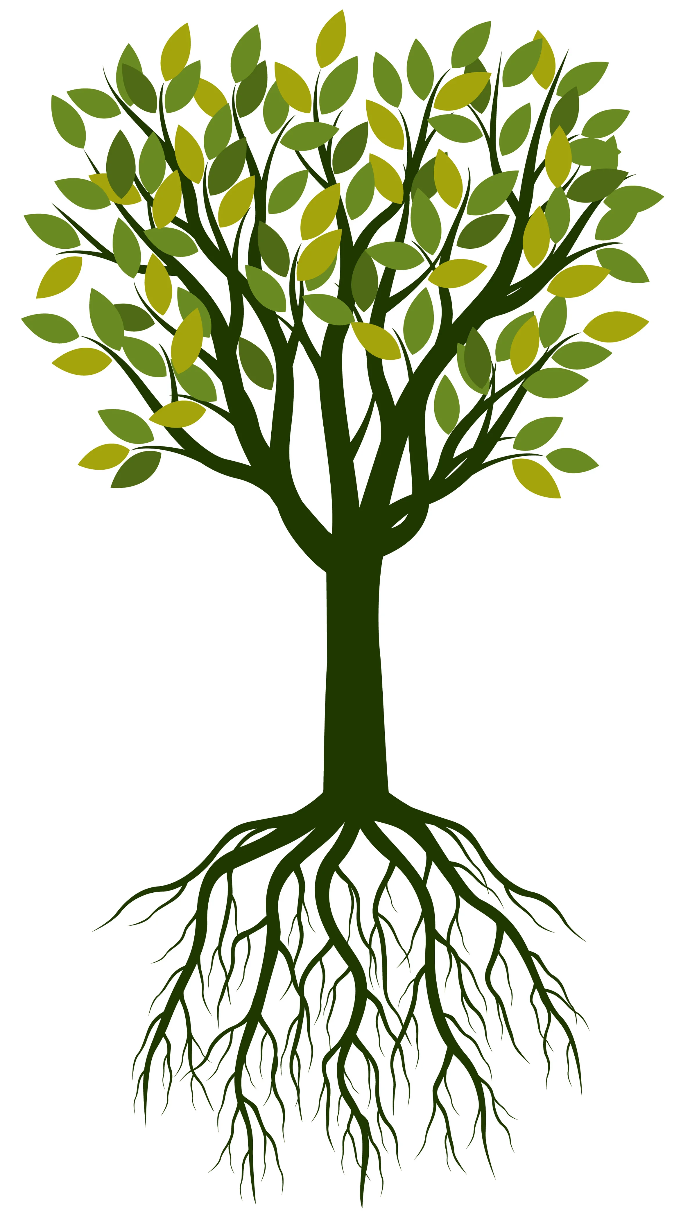 tree-of-life.jpg