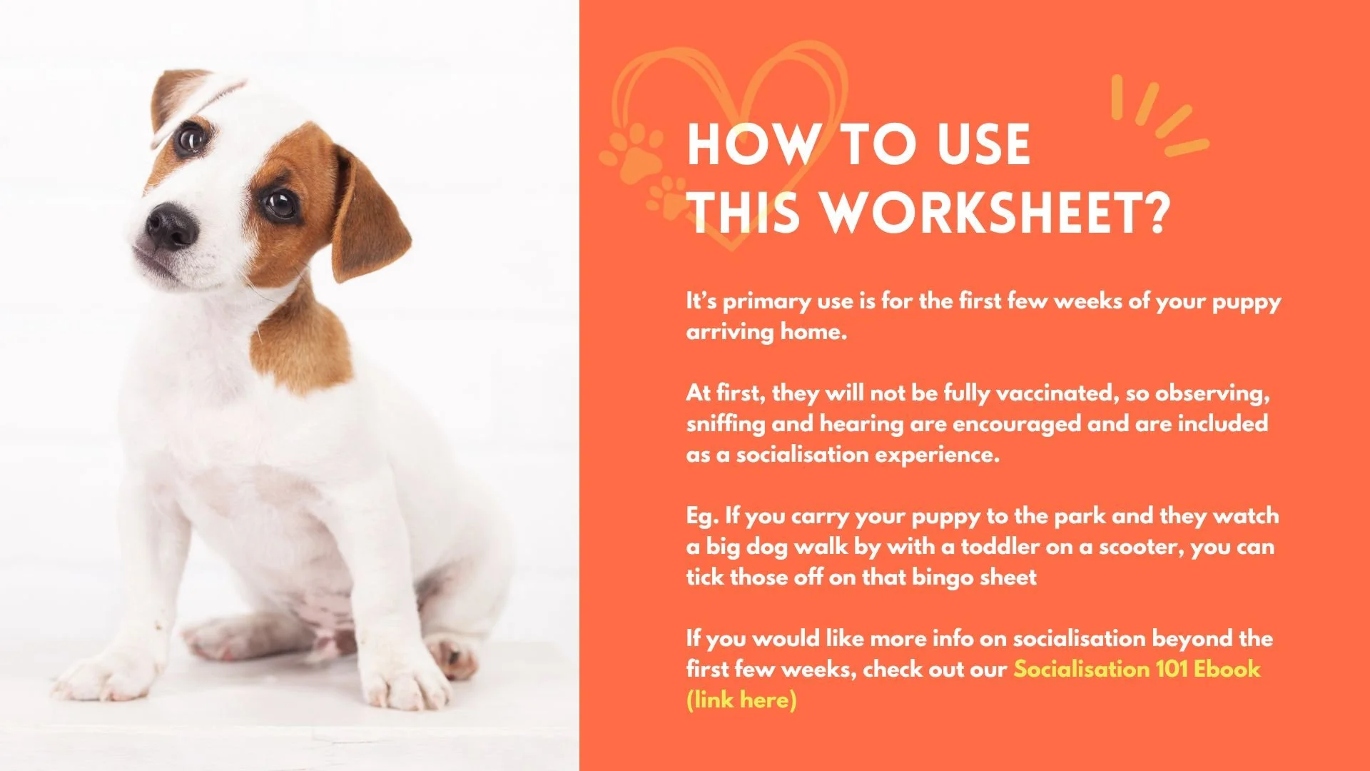 How to use this worksheet.jpg