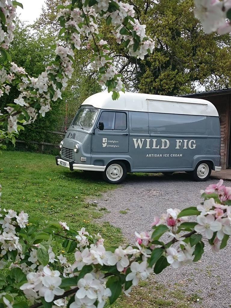 Welsh Tea Our Roots — Welsh Tea Peterston Tea Estate