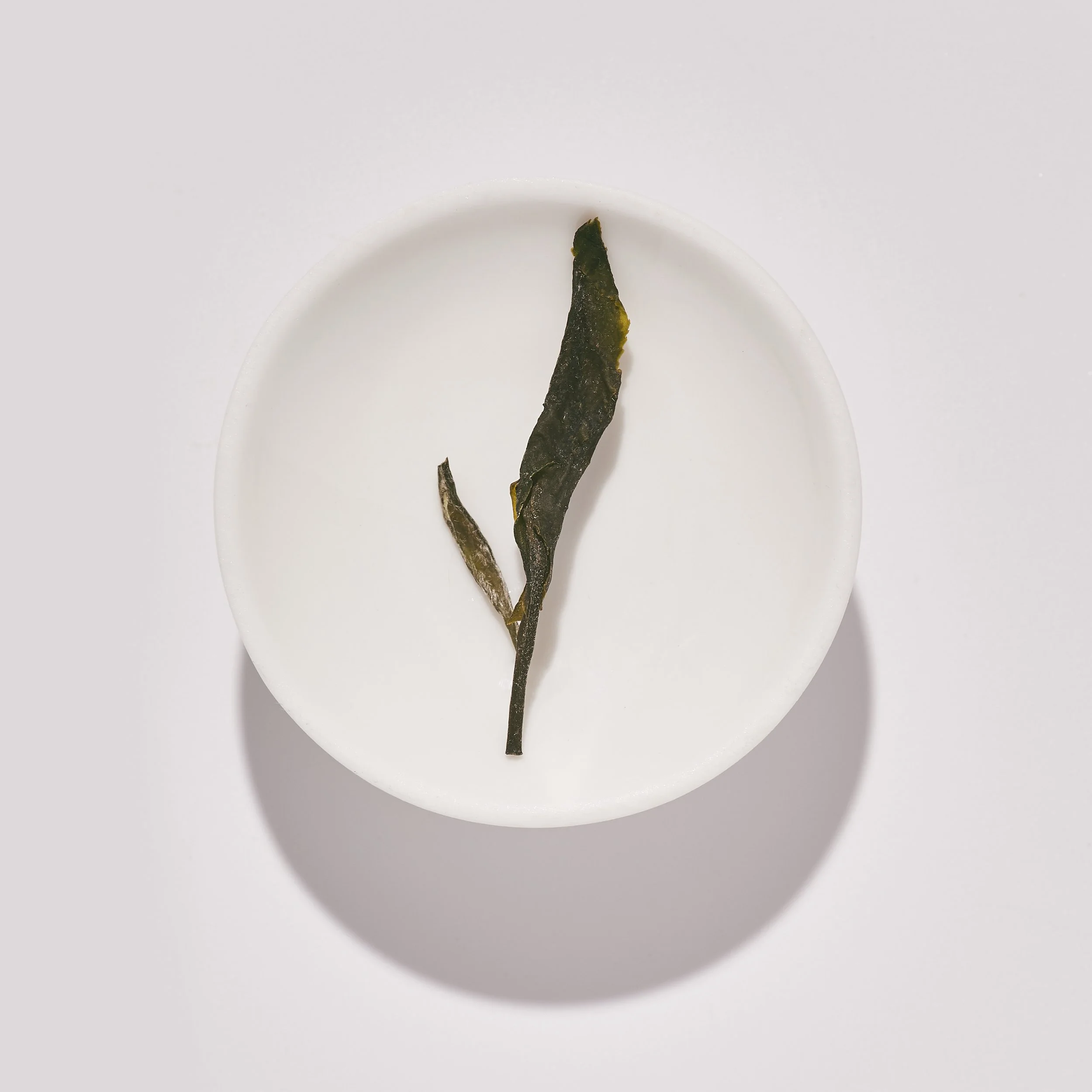 Welsh Tea Welsh Steamed Green Tea 2023 harvest — Welsh Tea