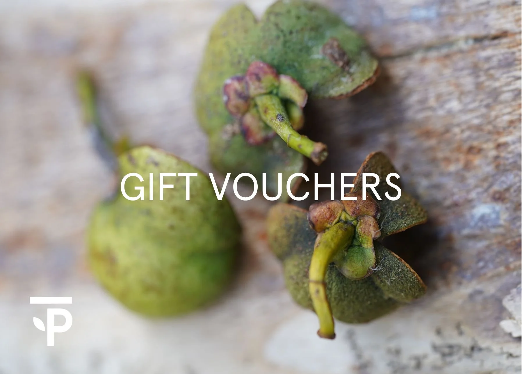 Welsh Tea Limited Edition Welsh Tea — Welsh Tea Peterston Tea Estate