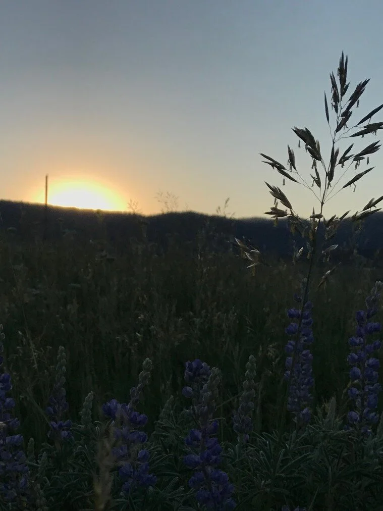 Farm Journal Friday 