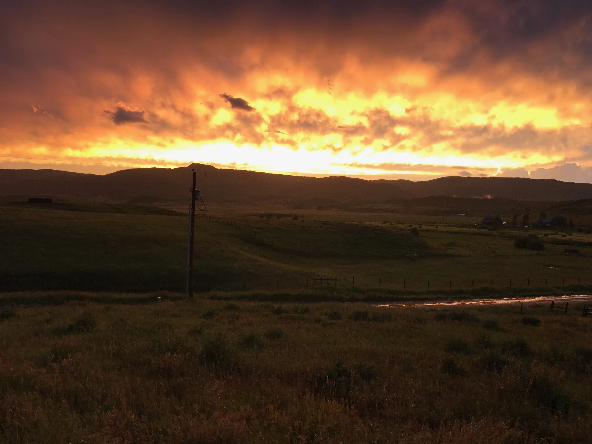 The Circle of Life on the Farm