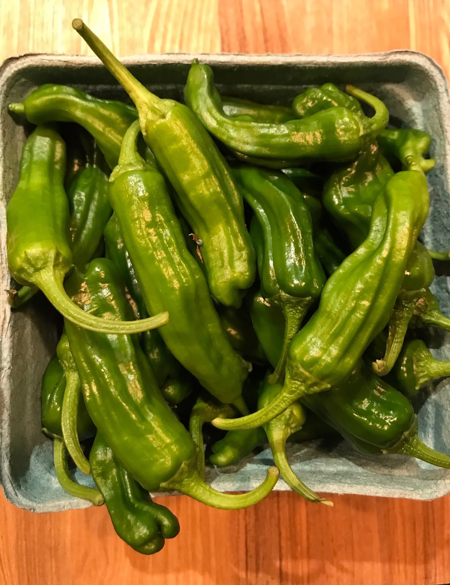 Summer with a Side of Shishitos