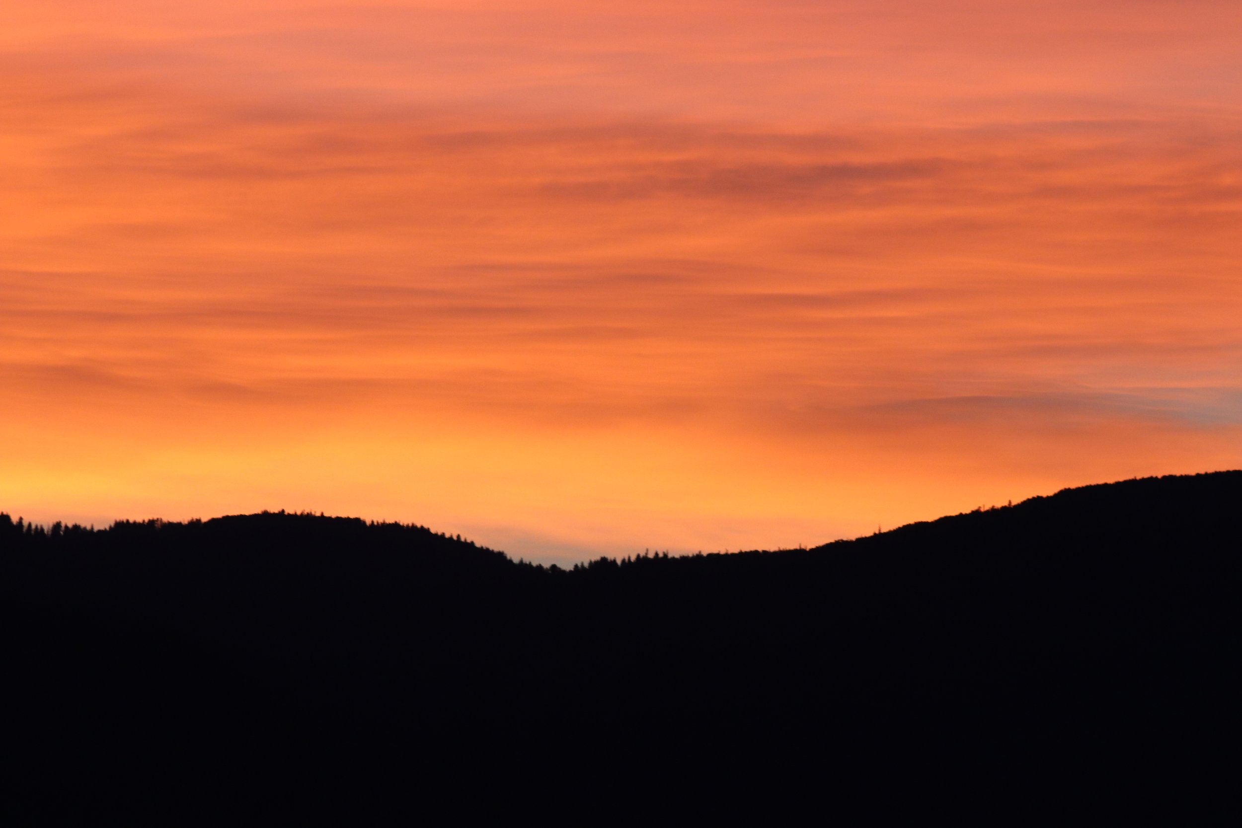 Chicken 3 Ways- Our Favorite Chicken Recipes on the Farmstead