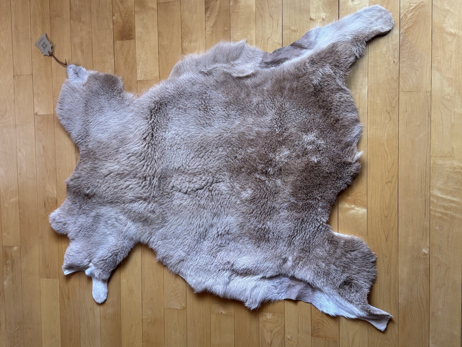 Small Light Brown Sheep Skin.jpg