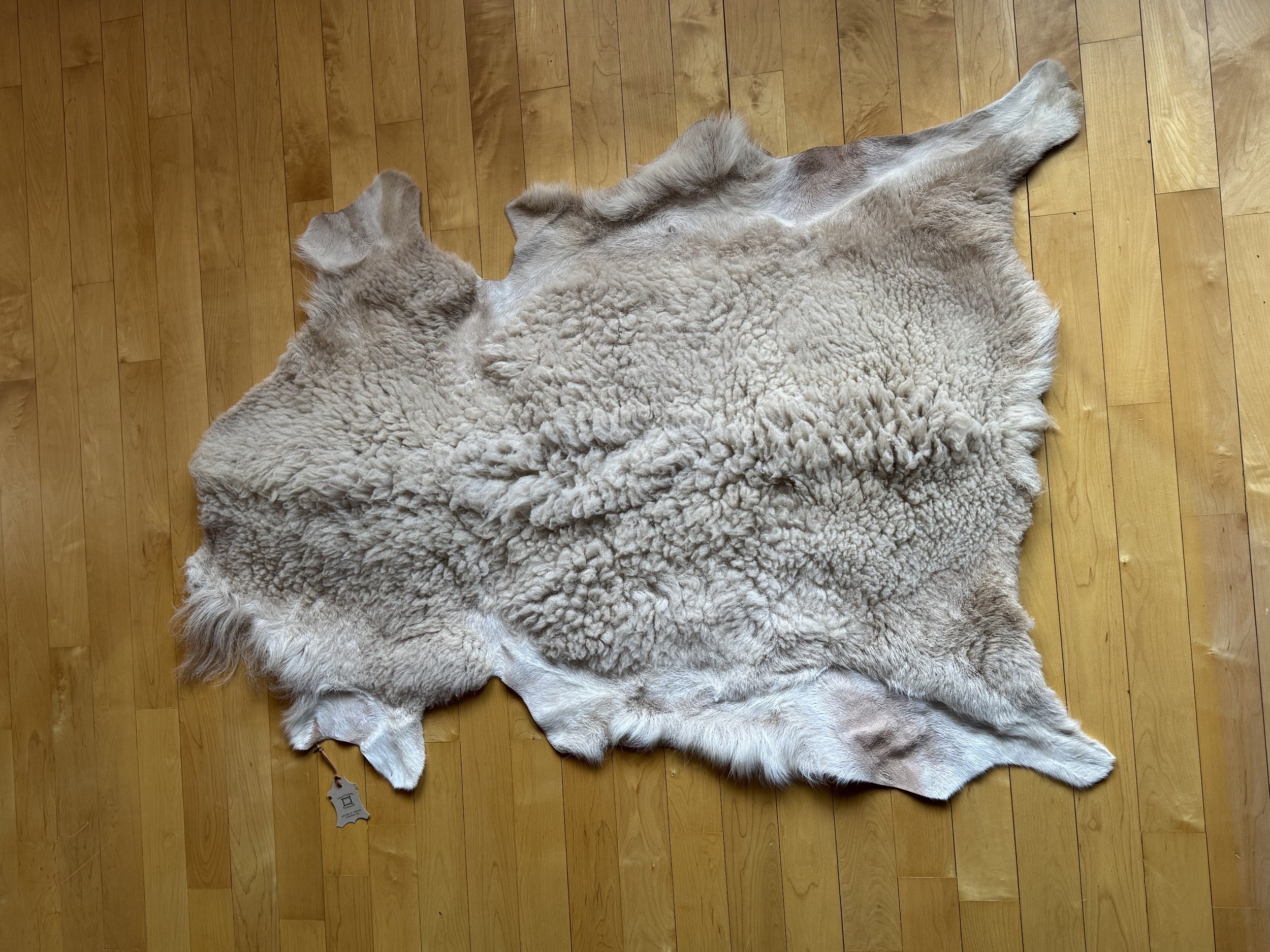 Large White:Cream Sheep Hide .jpg