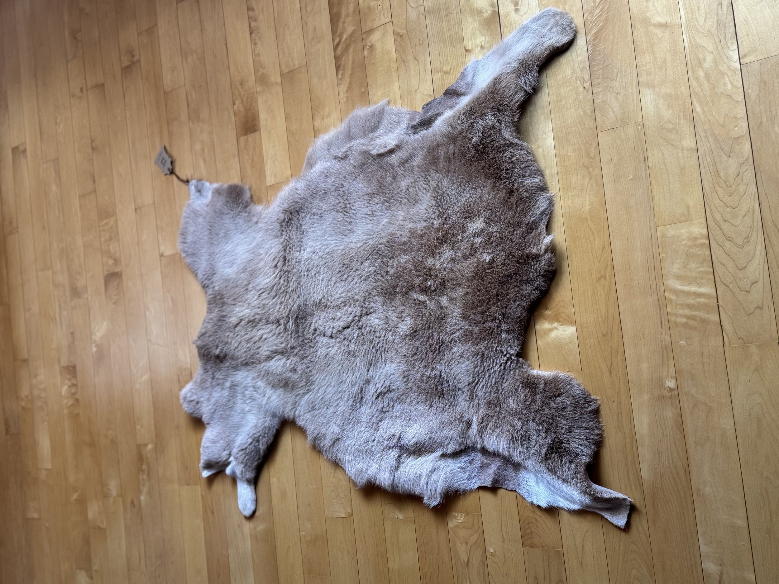 Light Brown Sheep Hide Full.jpg