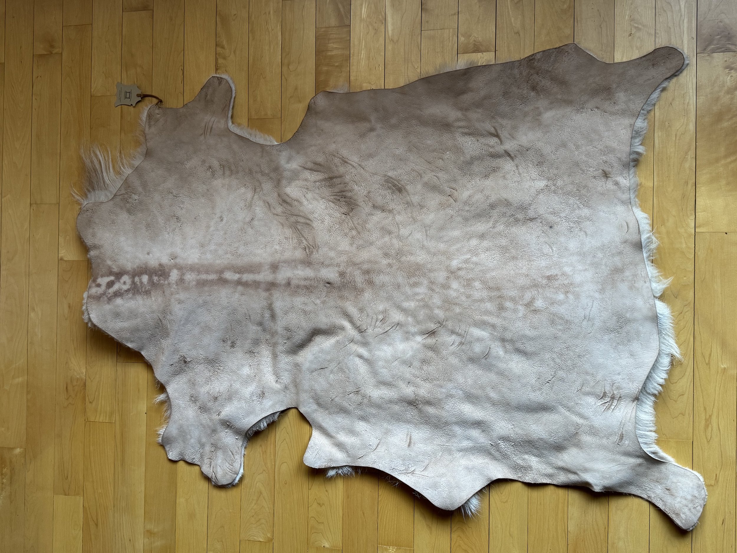 Large White:Cream Sheep Hide Leather Side.jpg