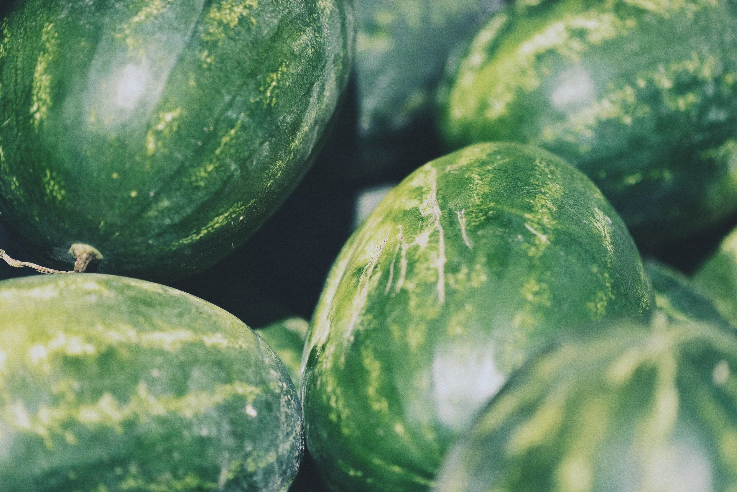 How to Pick a Ripe Watermelon