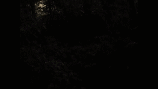 Schizofrantic - horror ambience.gif