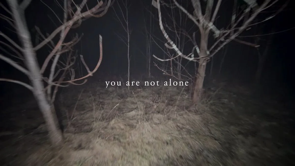 *SOLD OUT* you are not alone / live horror readings ft. R.L. Stine