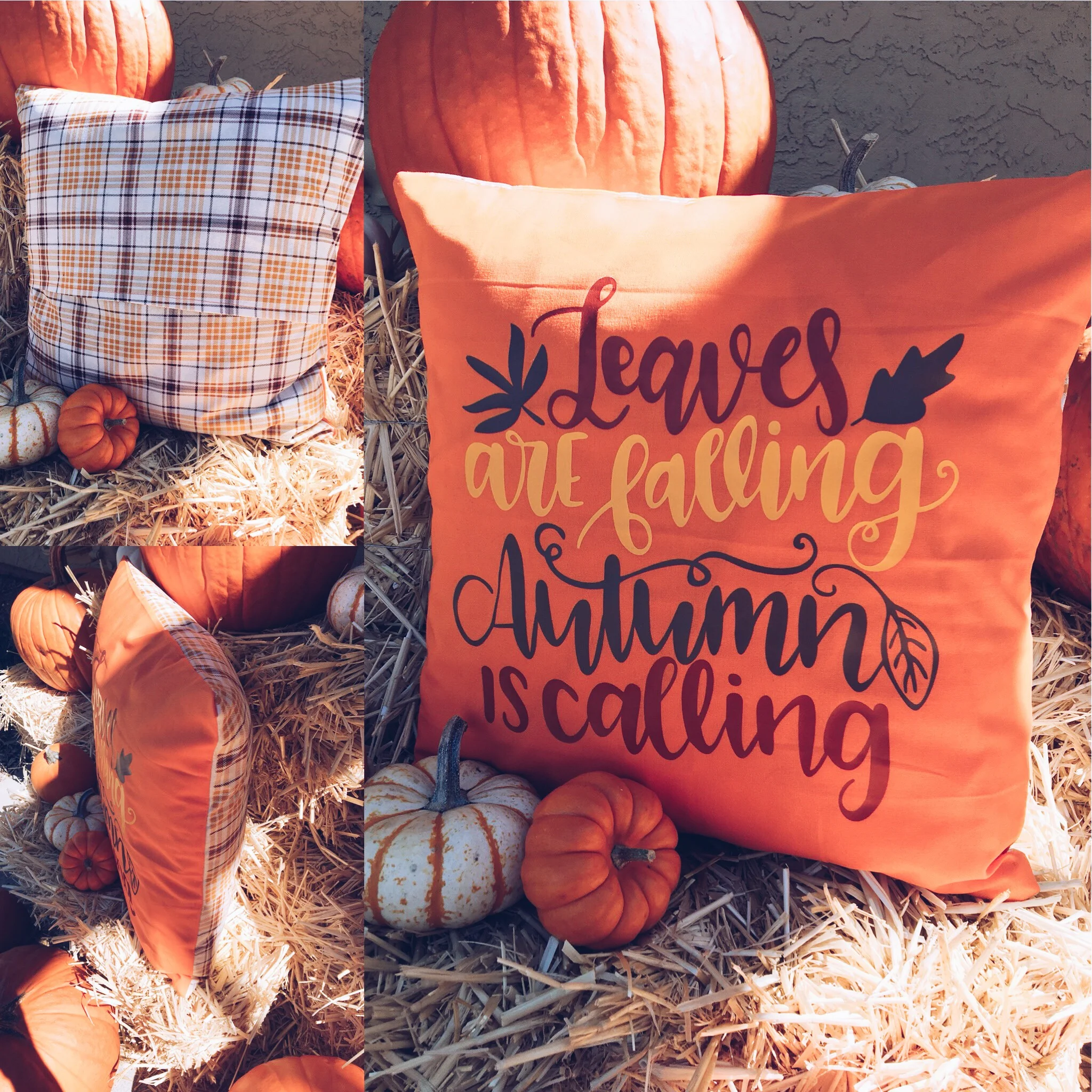 AutumnIs CallingRetouch.jpeg