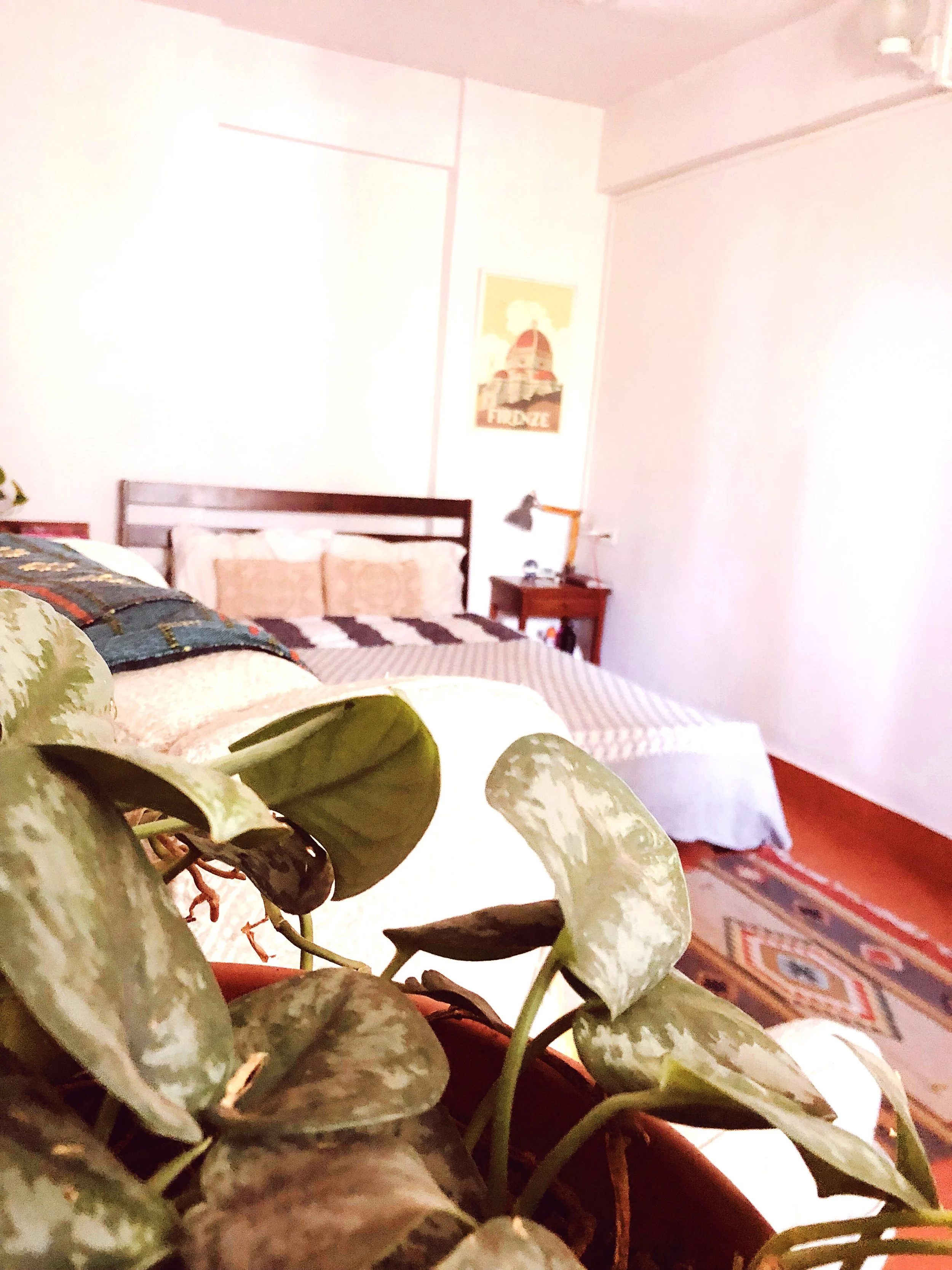 After. Bed: Urbanladder / Rug: Dilli Haat / Side table: Oshiwara / Lamp: Pepperfry