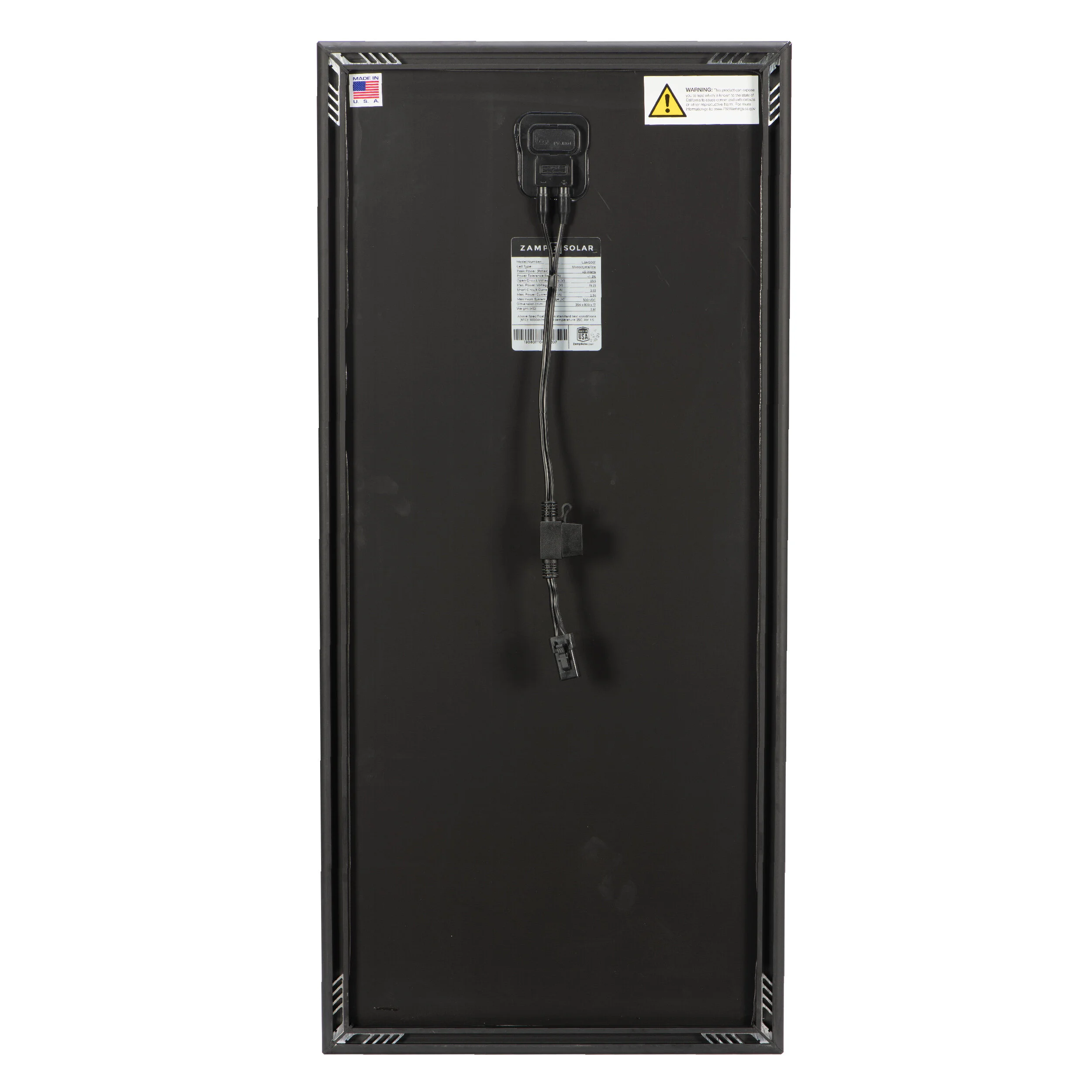 USM2001-Back-850_7819.jpg